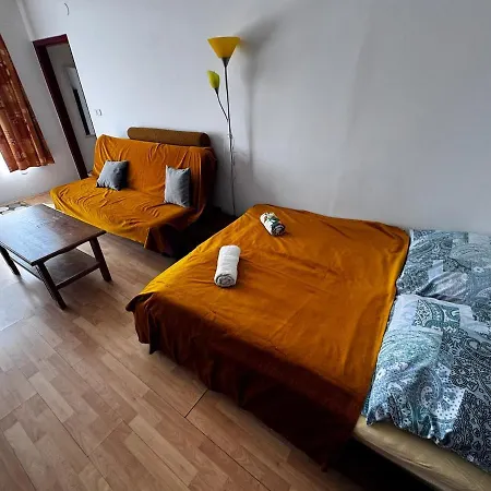 Dávid *
